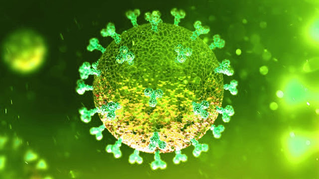 Coronavirus argentina con detalle de provincias