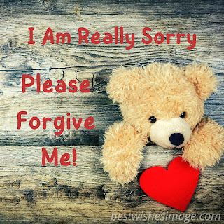 i am sorry images with teddy bear