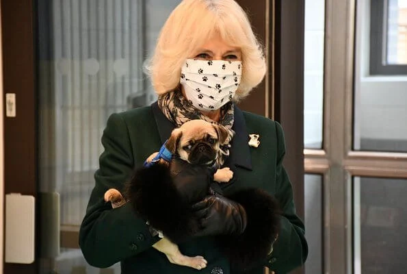 The Duchess of Cornwall is patron of the charity Battersea. Battersea introduced online puppy training classes. The Duchess wore a green wool coat