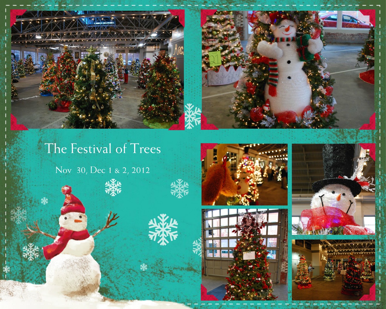 Adventures with the Miss Anne The Festival of Trees.......
