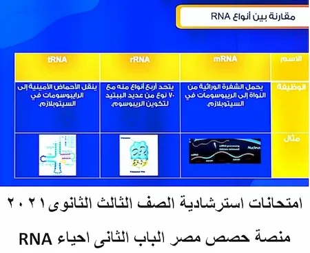 امتحانات استرشادية الصف الثالث الثانوى2021 منصة حصص مصر الباب الثانى احياء RNA