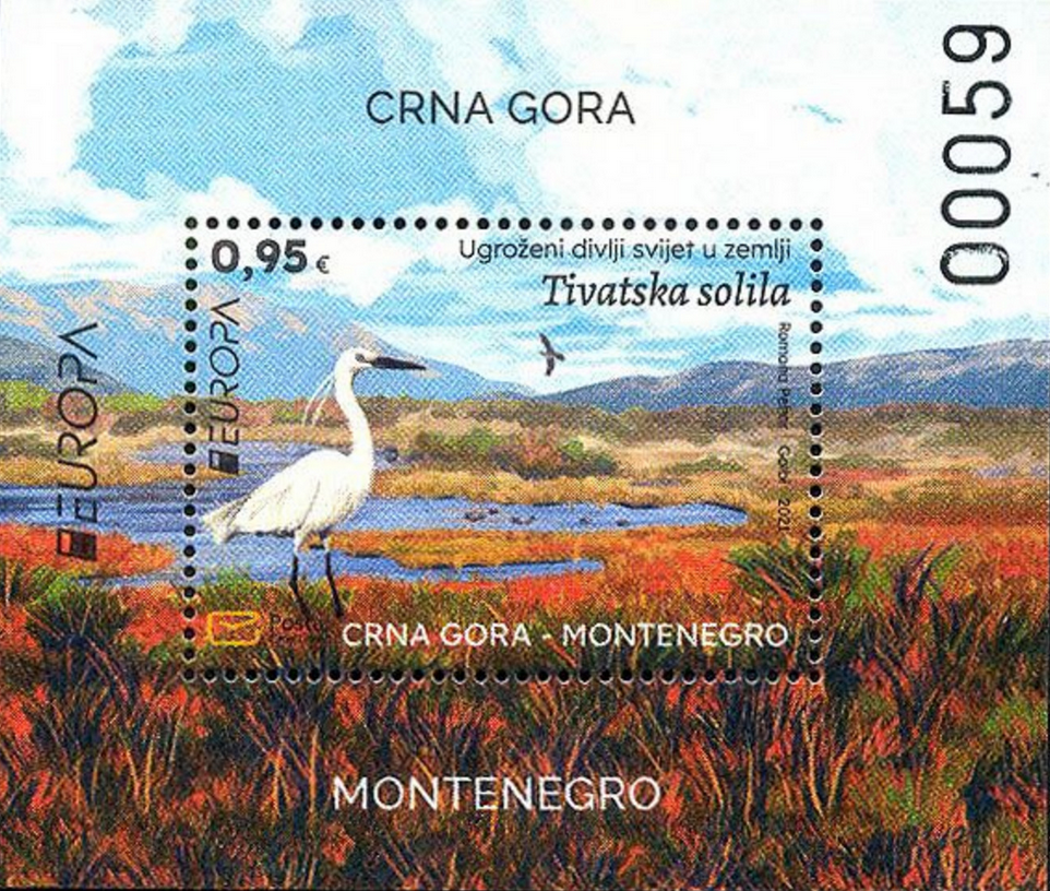 Птицы черногории