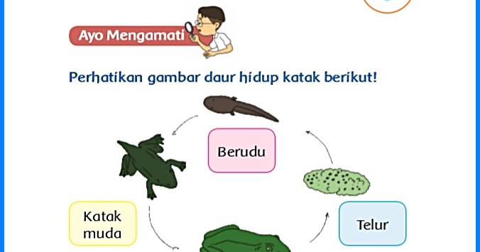 Kunci Jawaban Buku Tematik Kelas 3 Tema 1 Subtema 3 Halaman 132 133 134 135 - Soal Dan Jawaban
