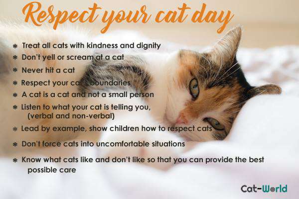 Respect Your Cat Day Wishes pics free download Respect Your Cat Day Wishes pics free download