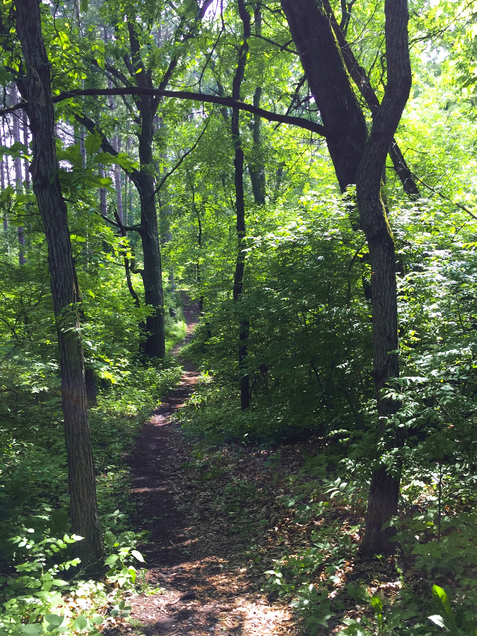 Ice Age National Trail - Blue Spring Lake Segment