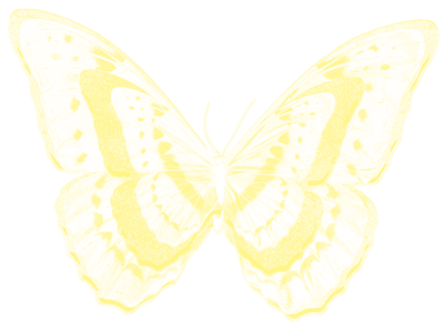 mariposas colores pasteles en png fondo transparente