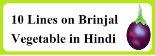 10 Lines on Brinjal Vegetable in Hindi