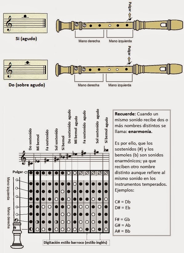MuSikAhp 9° FLAUTA DULCE SOPRANO PARTES Y POSICIONES