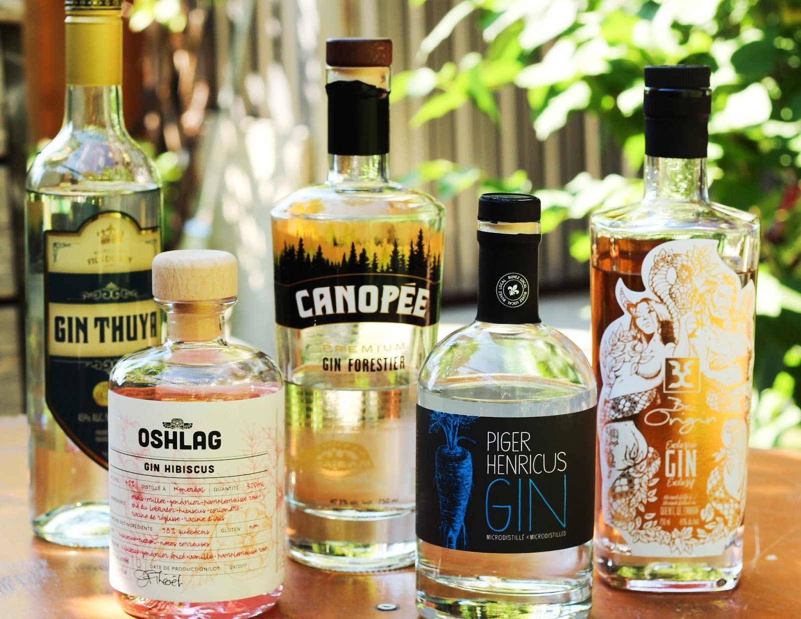 5 merveilleux gins québécois à découvrir entre amis