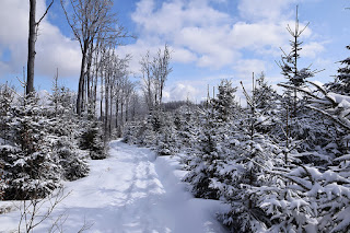 Beskid Mały 19-22.03.2021