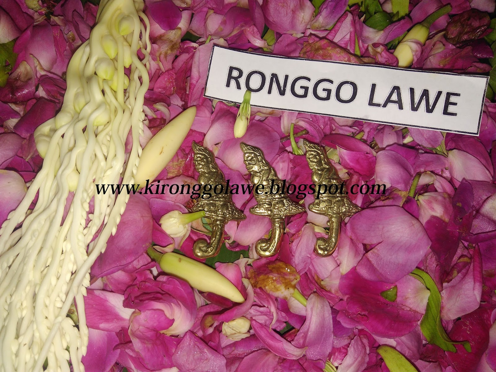 Alamat Dukun Surabaya Dukun Pelet Surabaya Paranormal