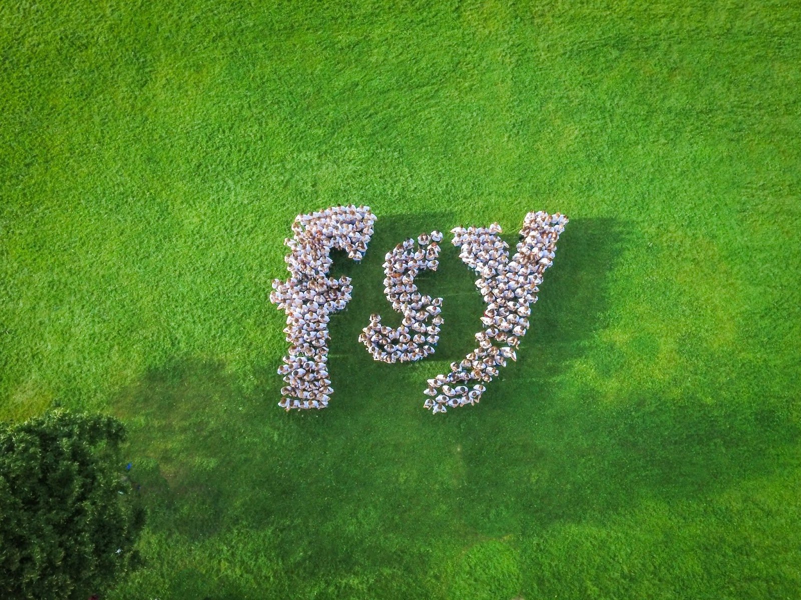 Schwabische Alb Entdecken Sie Die Landschaft Zwischen Neckar Und