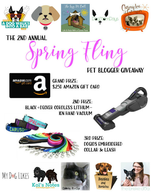 Springtime … When A Cat's Fancy Turns to the Spring Fling Pet Blogger Giveaway!