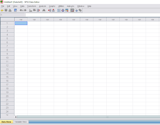 data view