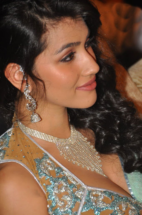 anjali lavania @ panjaa audio launch close up excl hq photo gallery