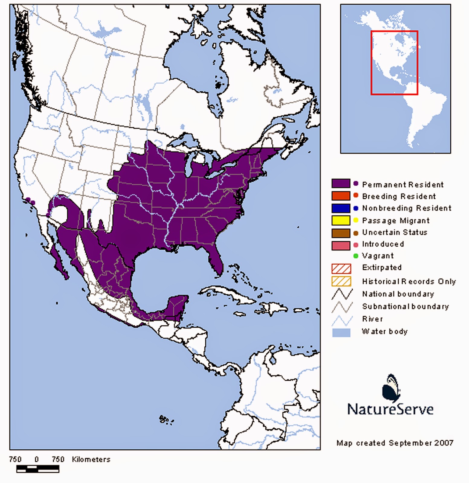 Birds and animals Northern Cardinal