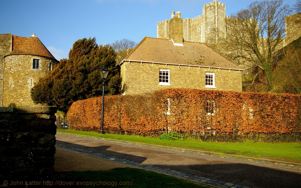 Dover Coronavirus Lockdown Blog UK Unusual Design of SergeantMajor's