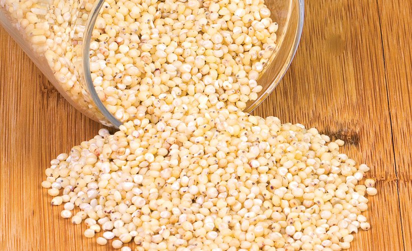 сорговая мука. Sorghum flour. сорго каша. сорго глютен. виде зернышки белые в желудке.