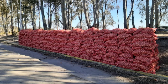 Donación SENASA SENASA donó 13,5 toneladas de alimentos a entidades de bien público