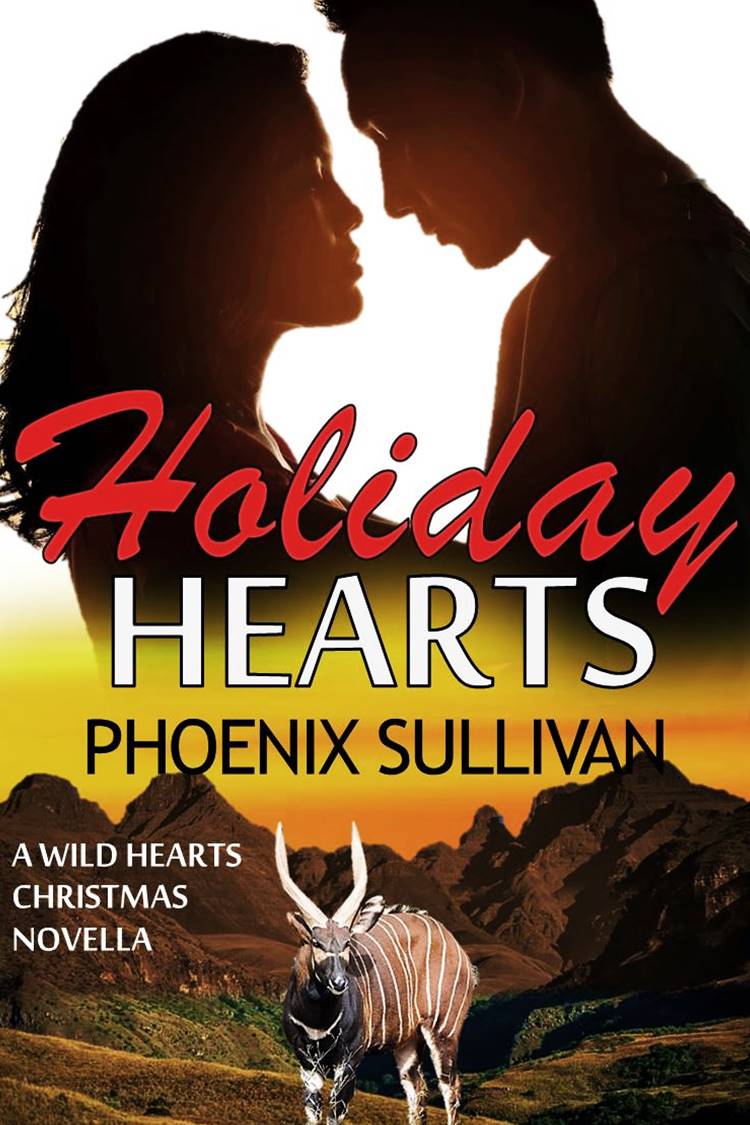 HOLIDAY HEARTS - Christmas Novella