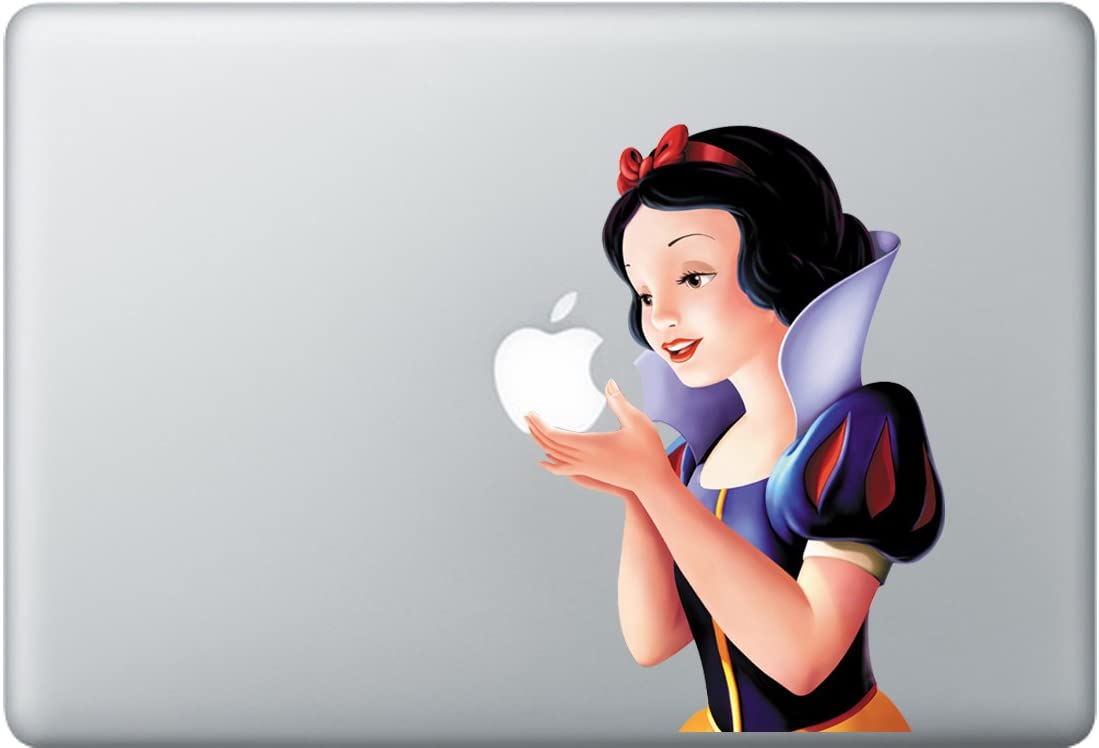 Macbook skins