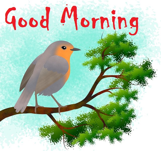 Beautiful good morning bird on tree image