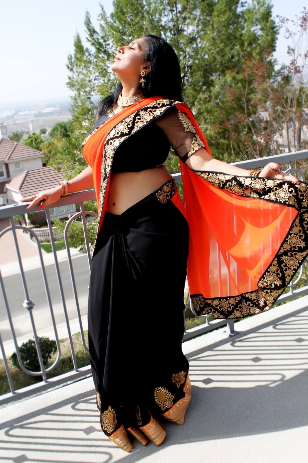 Malayalam Actress Mini Richard In Hot Saree Images - idnsek