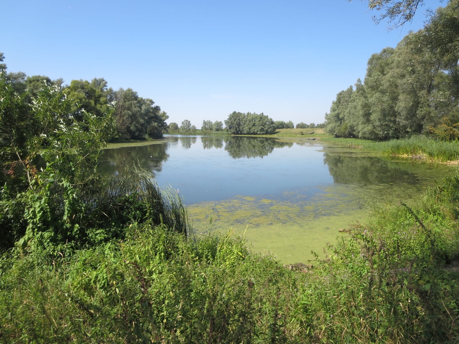 TOUR DE FRANS Rondje Pontje in de Gelderse Poort