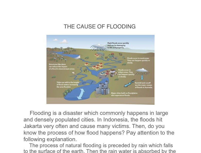 Materi Explanation Text Kelas 12 SMA