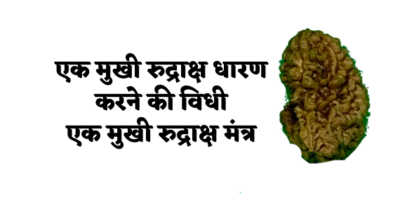एक मुखी रुद्राक्ष धारण करने की विधी |  एक मुखी रुद्राक्ष मंत्र | 1 Mukhi Rudraksha Mantra |