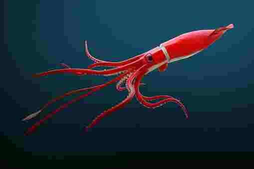 15 BIGGEST MEGALODON ENEMIES IN THE GOLDEN