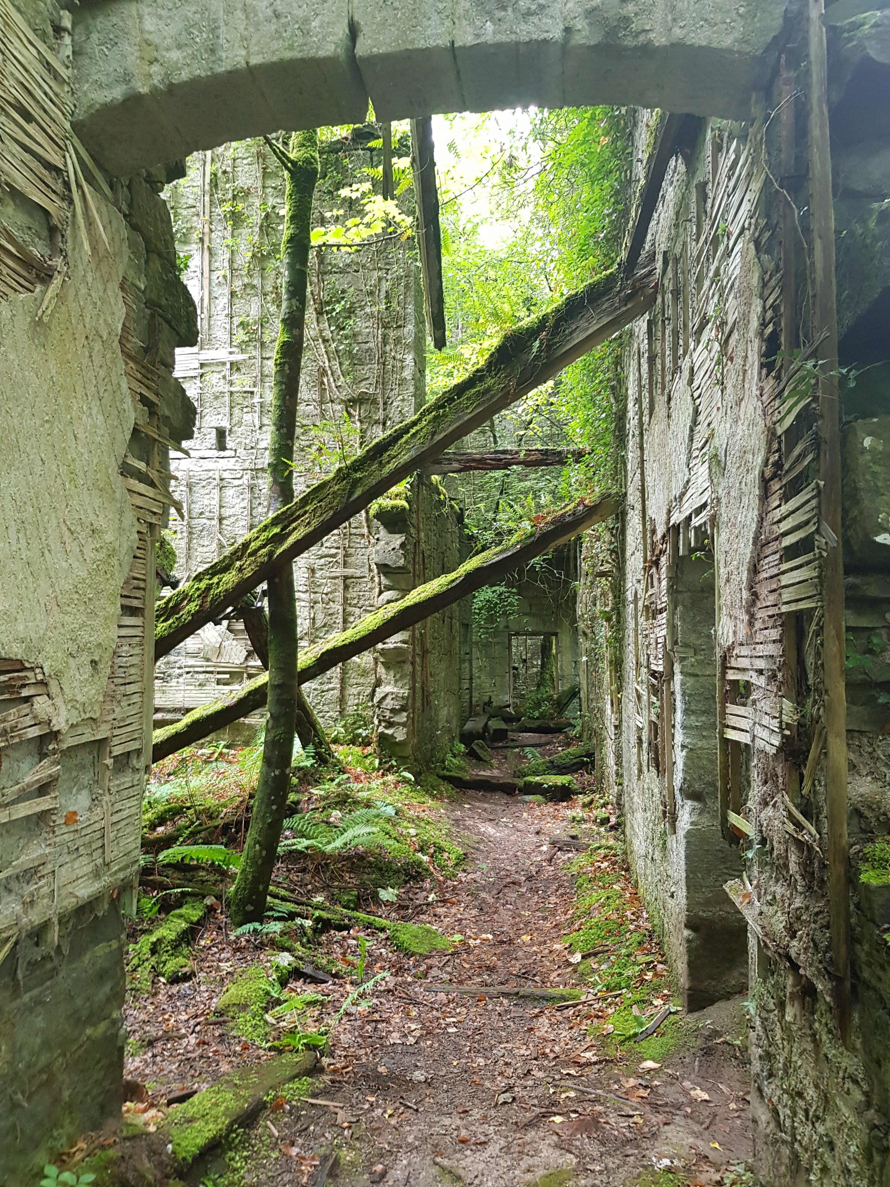 Fleetfoot Thought and Fickle Whimsy Saturday Afternoon in Buchanan