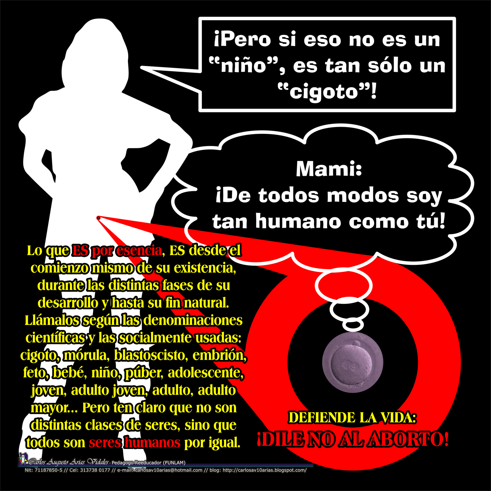 Pros Y Contras De Un Año Sabatico