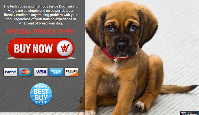 Petsmart Puppy Training Petsmart Potty Training Class Cost - Main Image