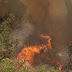 Π.Υ:Ενημέρωση για τις δασικές πυρκαγιές σε Αττική, Βόρεια Εύβοια, Ηλεία, Μεσσηνία και Ανατολική Μάνη