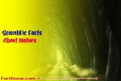 facts about human body,facts about nature,nature facts,Science Facts,random facts,facts about,interesting facts,facts,facts about earth,scientific facts,amazing facts,