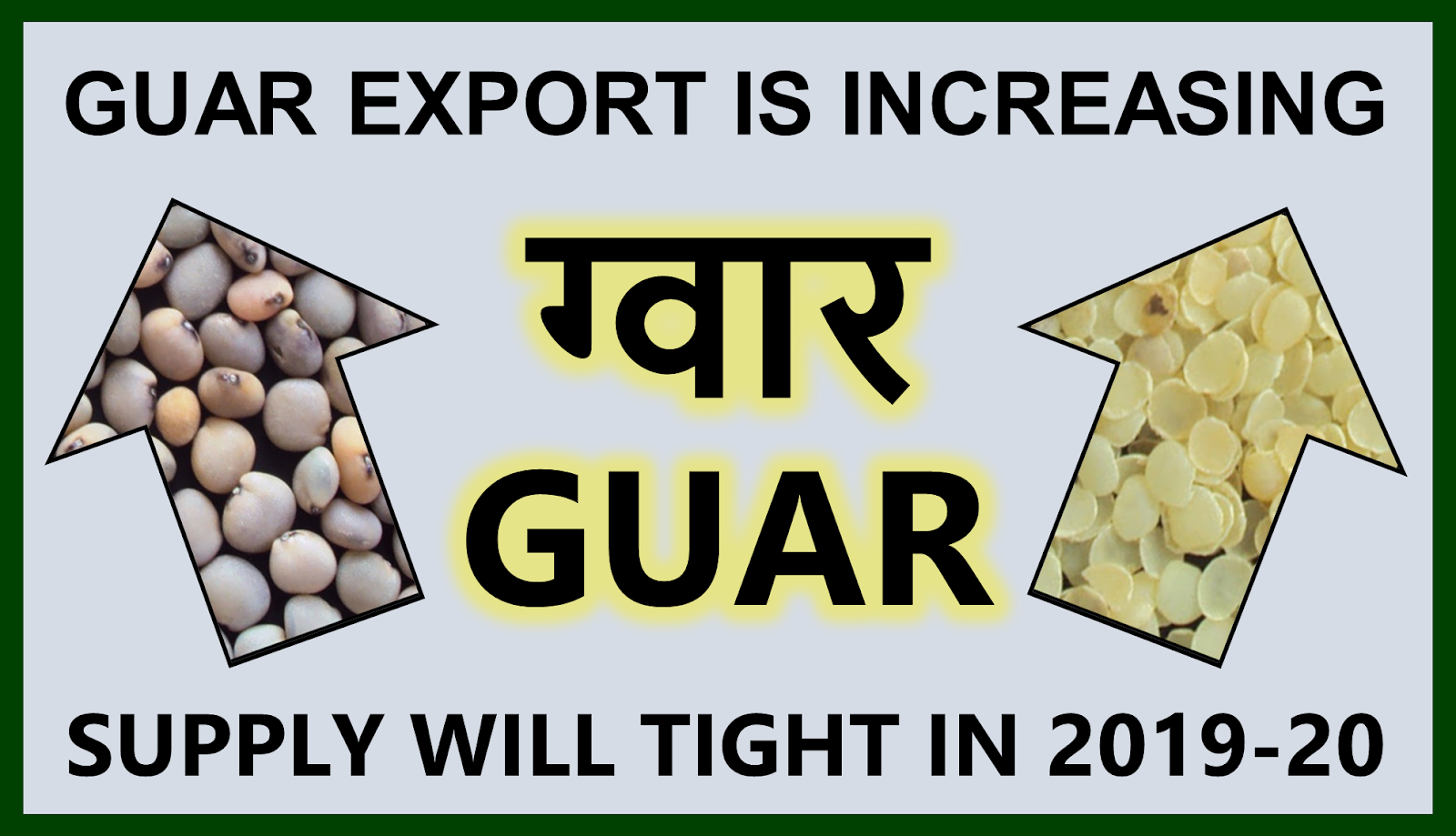 GUAR GUM INFORMATION AND GUAR GUM CULTIVATION IN INDIA Guar Product