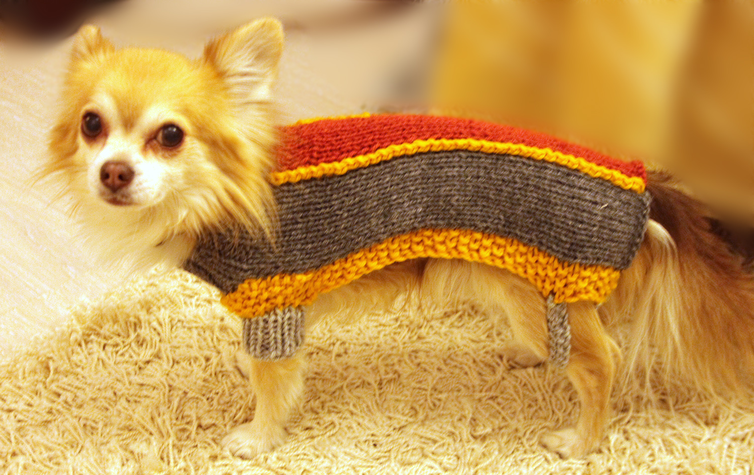 Purple crafts Sweater for chihuahua