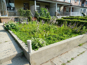 Bloordale garden cleanup before Paul Jung Toronto Gardening Services