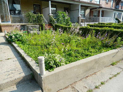 Bloordale garden cleanup before Paul Jung Toronto Gardening Services