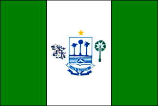 Resultado de imagem para bandeira de marcos parente pi