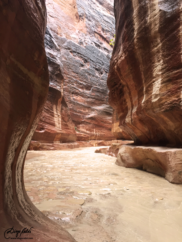 Las Tierras rojas de Jordania - Blogs de Jordania - Visita a la Ciudad de Petra (11)