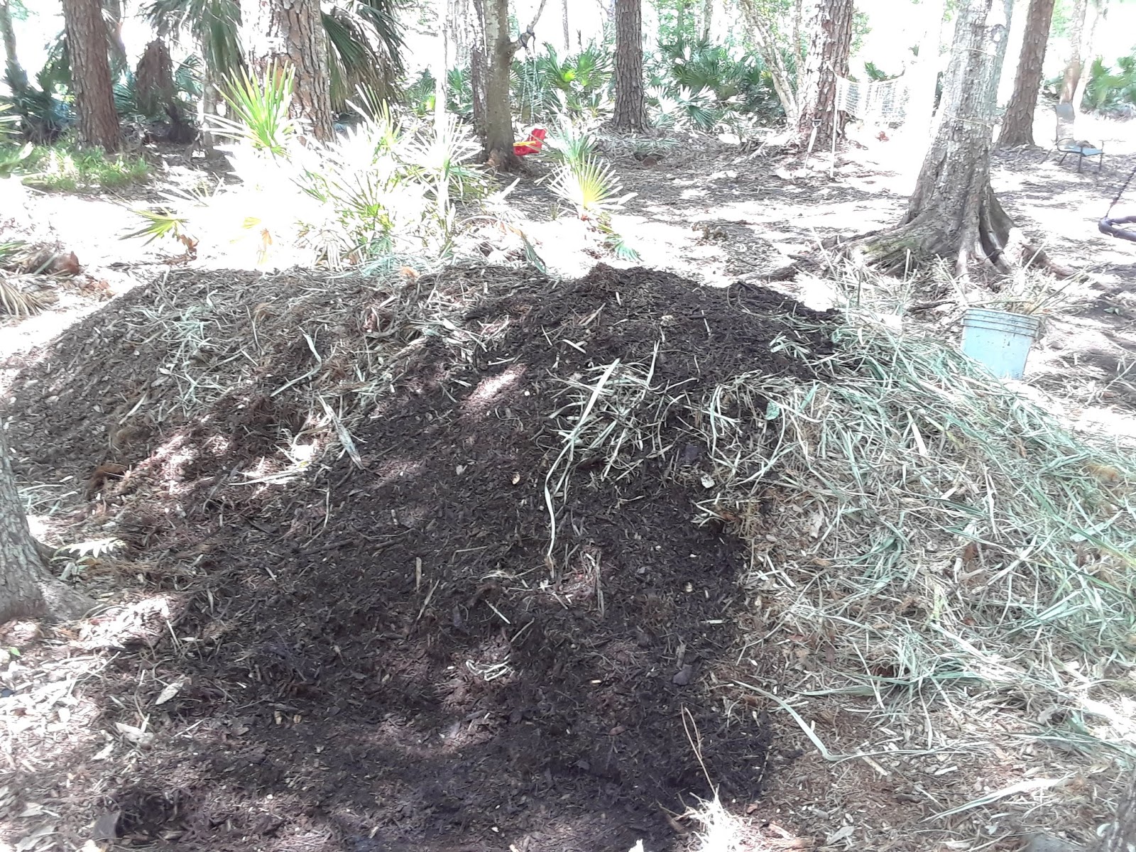 How To Get Free Wood Chips