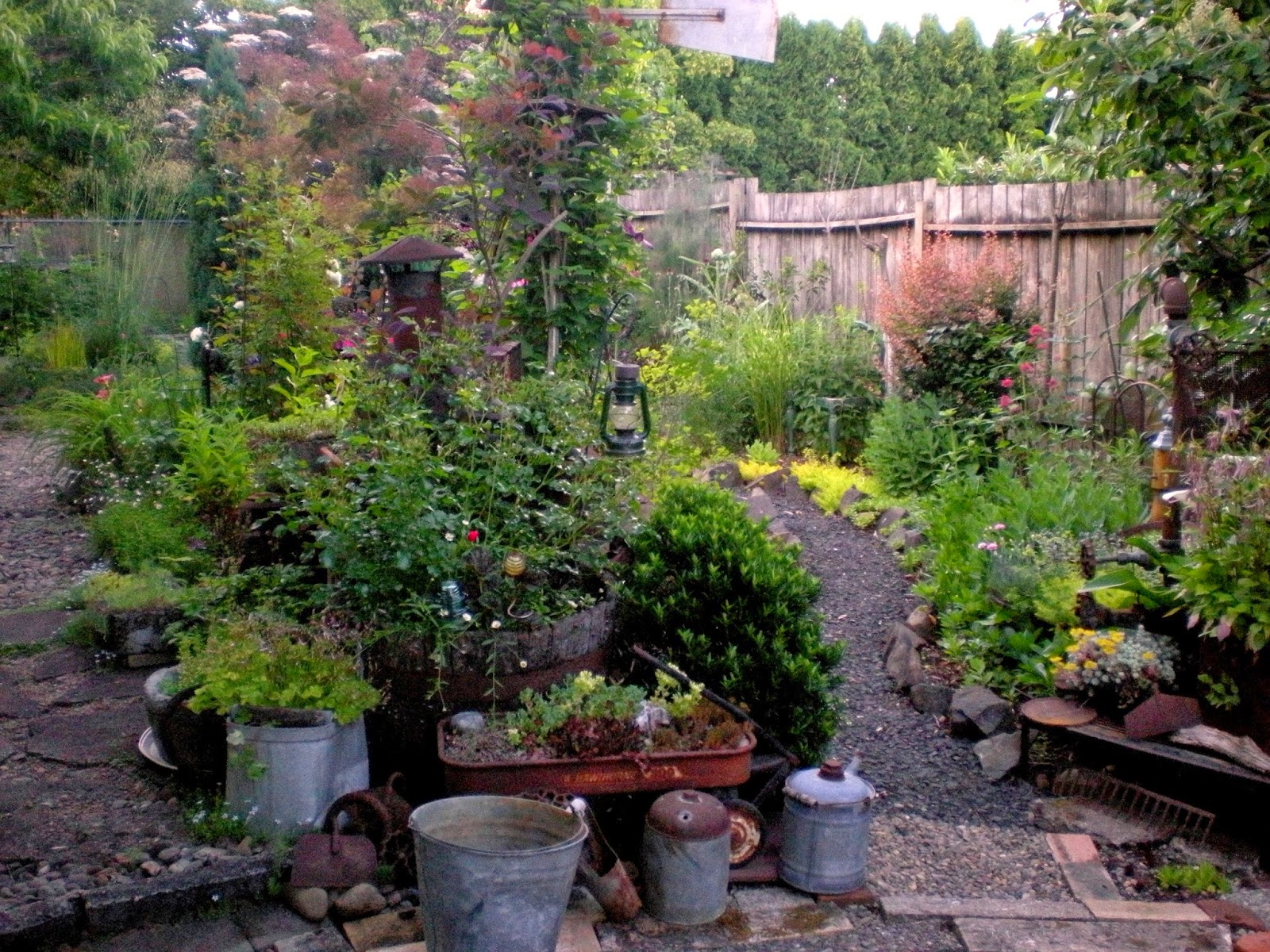 The Gardening Shoe Shrubs For All Seasons