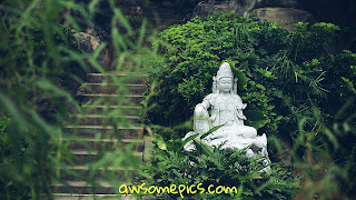 Gautam Buddha images hd