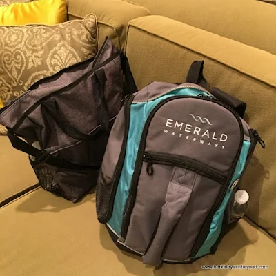 backpacks turned our visit to Taj Campton Place San Francisco into a staycation