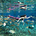 Turning polluted ponds into a social networking star in Indonesia