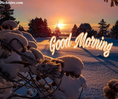 These Best 99+ Good Morning Images will make your day These Best 99+ Good Morning Images will make your day