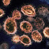 SARS-CoV-2 е естествено възникнал вирус, категорично заключение на експерти