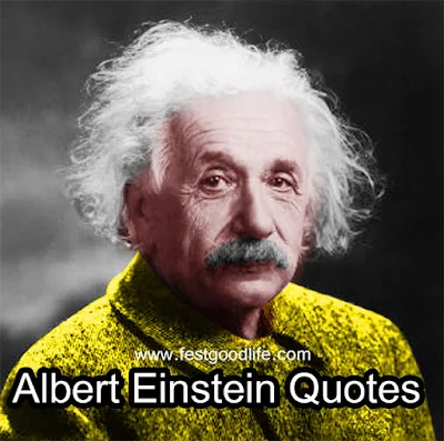 Albert Einstein Quote in hindi